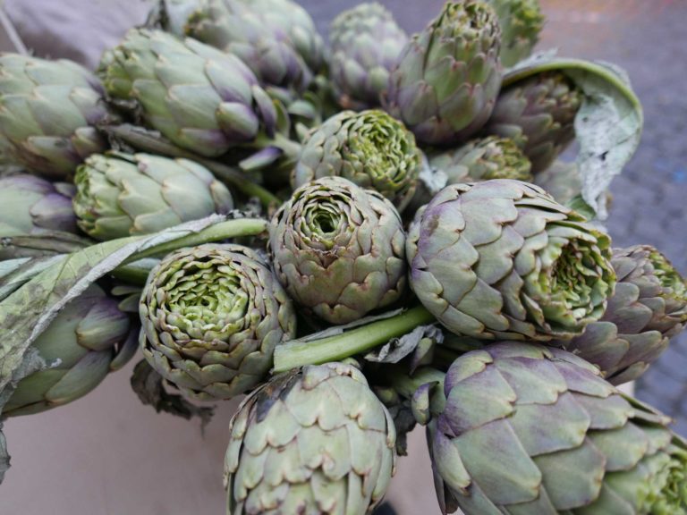 Artichokes alt text here