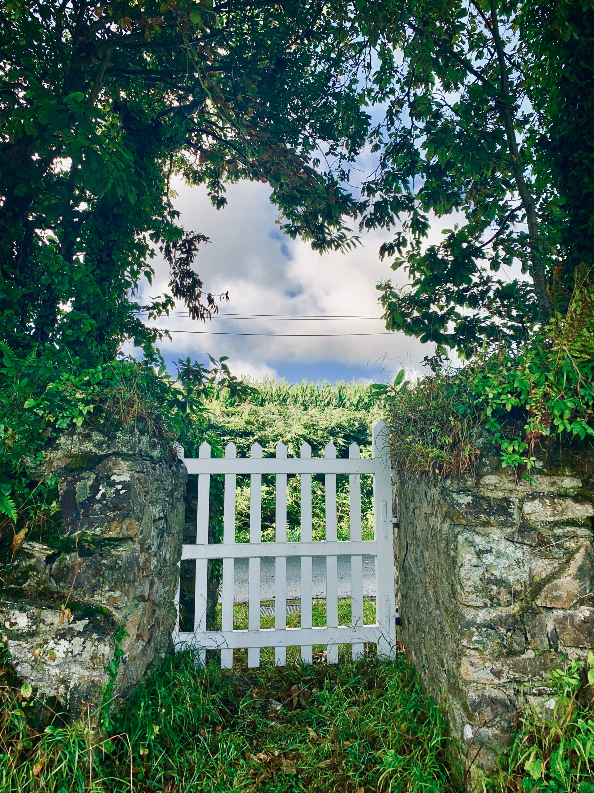 white gate