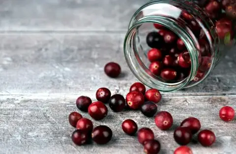 cranberries - sour flavor TCM snack